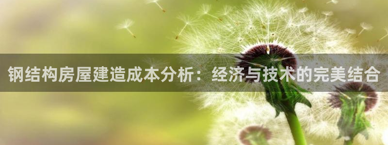 安信12是什么平台：钢结构房屋建造成本分析：经济与技术的完美结合
