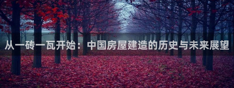 安信可12f：从一砖一瓦开始：中国房屋建造的历史与未来展望