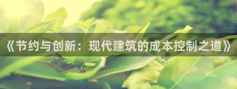 安信12专用挂机：《节约与创新：现代建筑的成本控制之道》