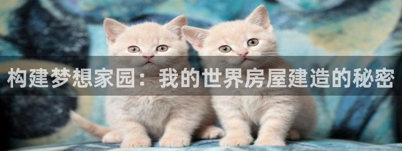 安信12登录网址：构建梦想家园：我的世界房屋建造的秘密
