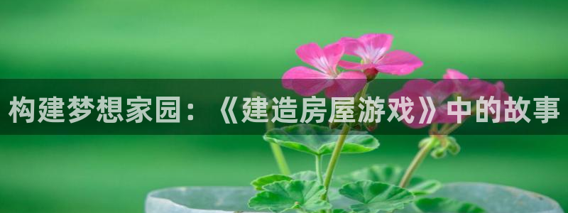 安信esp12k：构建梦想家园：《建造房屋游戏》中的故事