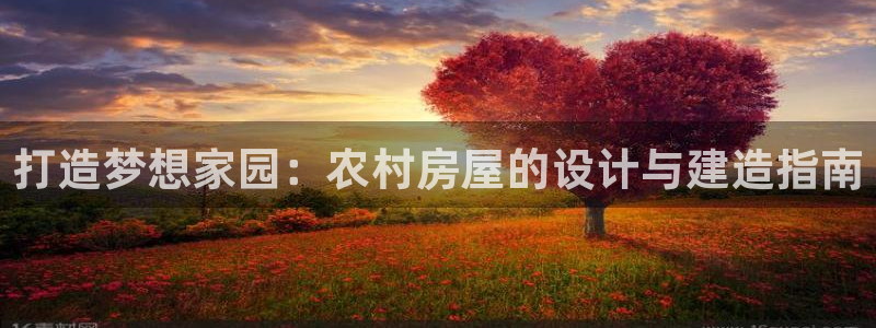 安信12正版下载：打造梦想家园：农村房屋的设计与建造指南