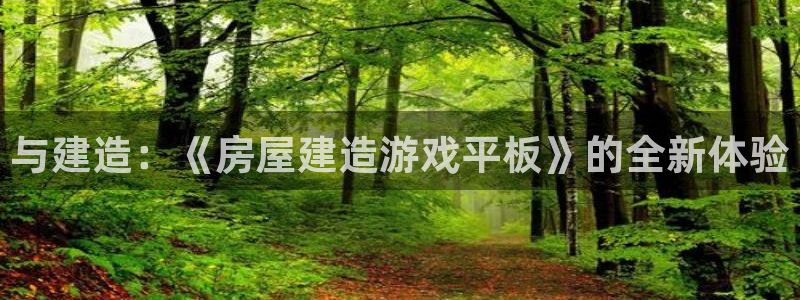 安信12是什么：与建造：《房屋建造游戏平板》的全新体验