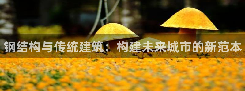 安信主管su金12手12指tq：钢结构与传统建筑：构建未来城市的新范本