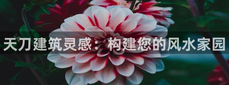 安立信T12测评：天刀建筑灵感：构建您的风水家园