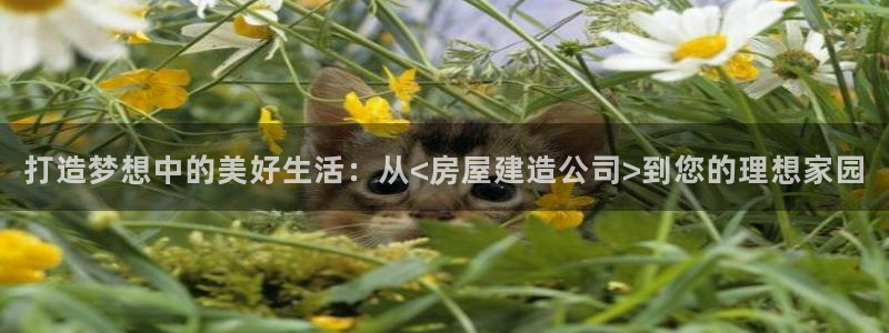 安信安翼 12账号：打造梦想中的美好生活：从<房屋建造公司>到您的理想家园