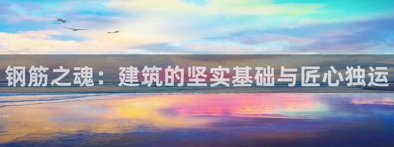 安信12娱乐：钢筋之魂：建筑的坚实基础与匠心独运