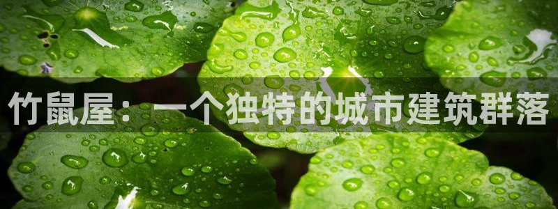 安信12娱乐登录网页：竹鼠屋：一个独特的城市建筑群落