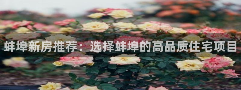 安信主管su金12手12指tq：蚌埠新房推荐：选择蚌埠的高品质住宅项目