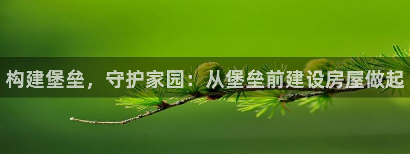 安信12专用挂机：构建堡垒，守护家园：从堡垒前建设房屋做起