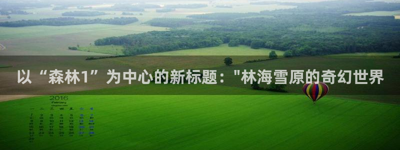 安立信T12测评：以“森林1”为中心的新标题：\