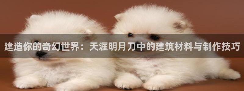 安信12级大众：建造你的奇幻世界：天涯明月刀中的建筑材料与制作技巧