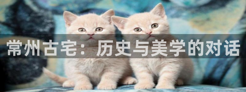 安信12怎么注册：常州古宅：历史与美学的对话