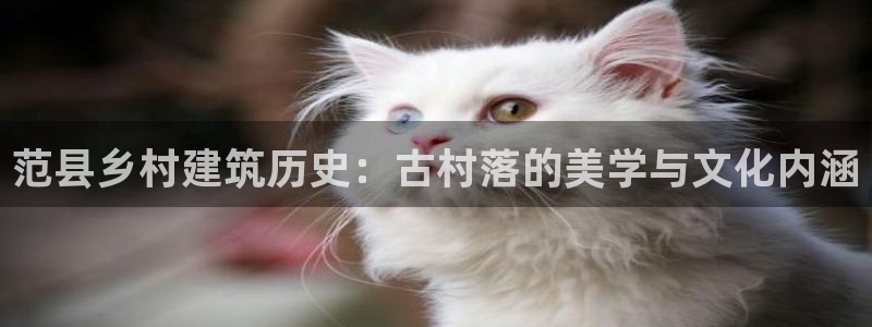 安信122853179Z空间：范县乡村建筑历史：古村落的美学与文化内涵