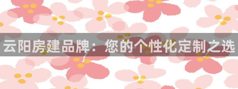 安信12软件介绍：云阳房建品牌：您的个性化定制之选
