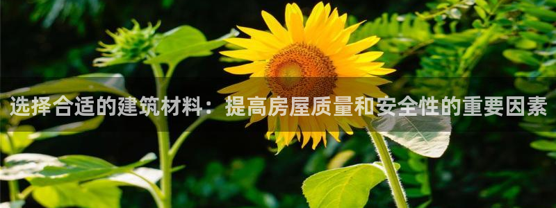 安信 12：选择合适的建筑材料：提高房屋质量和安全性的重要因素