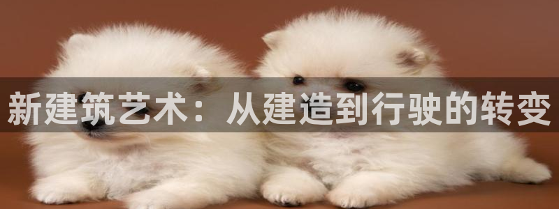 安信4娱乐去55 12：新建筑艺术：从建造到行驶的转变