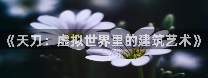 安信4特邀55 12