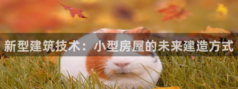 安信4娱乐去55 12：新型建筑技术：小型房屋的未来建造方式
