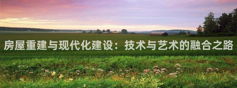 安信12平台最新消息：房屋重建与现代化建设：技术与艺术的融合之路