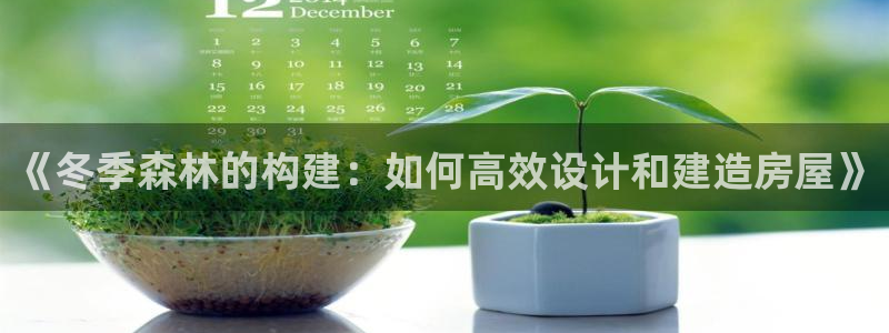 安信12app：《冬季森林的构建：如何高效设计和建造房屋》