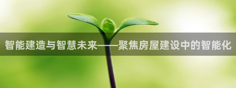 安信12是做什么：智能建造与智慧未来——聚焦房屋建设中的智能化