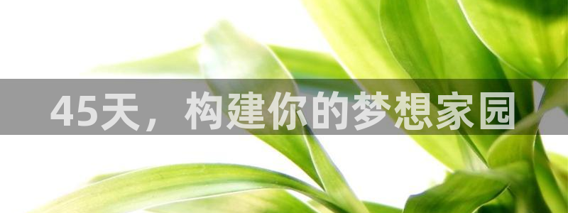 安信 12：45天，构建你的梦想家园