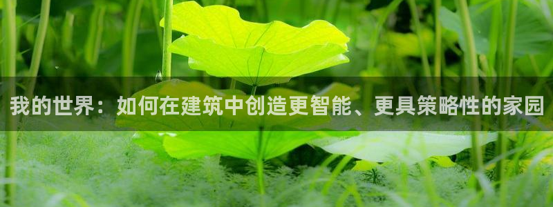 安信4娱乐去55 12：我的世界：如何在建筑中创造更智能、更具策略性的家园