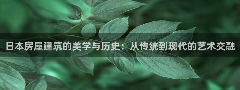 12月安信推荐：日本房屋建筑的美学与历史：从传统到现代的艺术交融