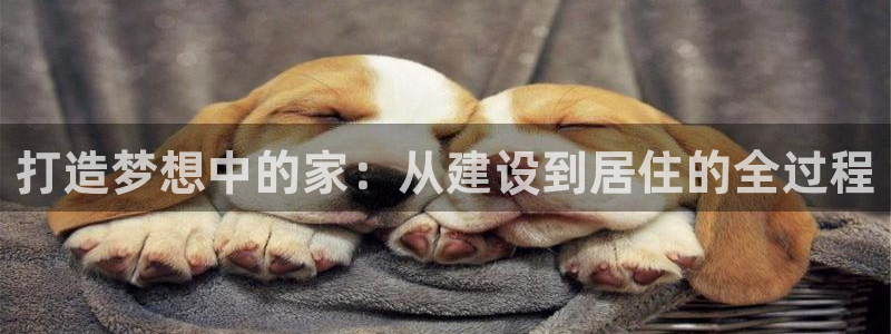 安信卓越12月：打造梦想中的家：从建设到居住的全过程
