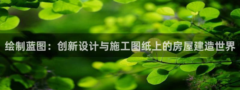 安信12娱乐：绘制蓝图：创新设计与施工图纸上的房屋建造世界