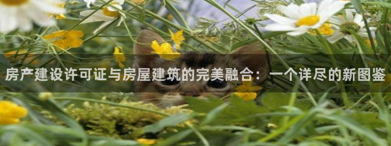 安信312 12：房产建设许可证与房屋建筑的完美融合：一个详尽的新图鉴