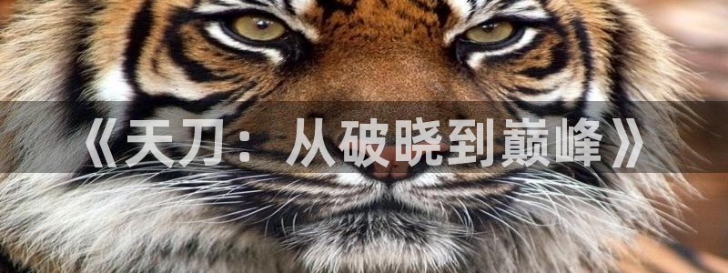 安信t12：《天刀：从破晓到巅峰》