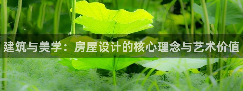 安信12是什么：建筑与美学：房屋设计的核心理念与艺术价值