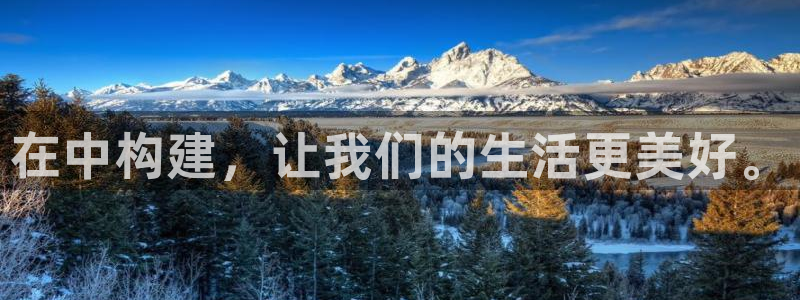 安信安赢12号：在中构建，让我们的生活更美好。