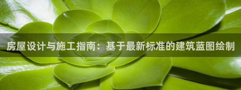 安信12彩票在线网址：房屋设计与施工指南：基于最新标准的建筑蓝图绘制