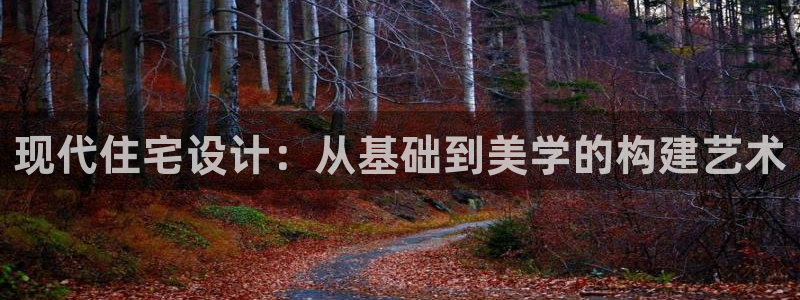 安信12网站：现代住宅设计：从基础到美学的构建艺术