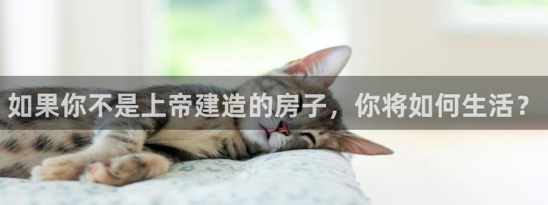 安信12娱乐主管：如果你不是上帝建造的房子，你将如何生活？