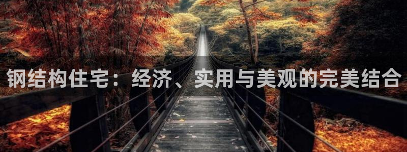 安信可12f：钢结构住宅：经济、实用与美观的完美结合