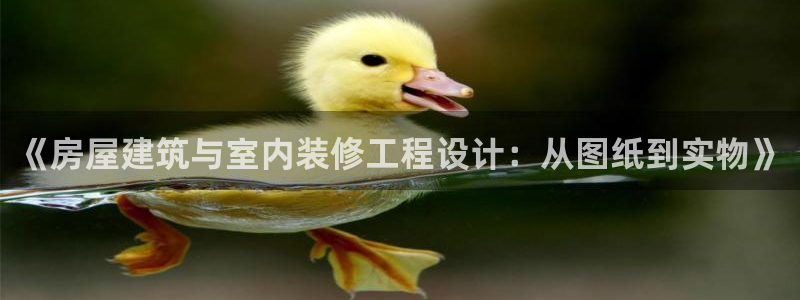 安信12主管：《房屋建筑与室内装修工程设计：从图纸到实物》