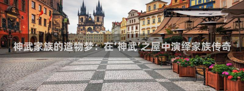 安信12网页版：神武家族的造物梦：在‘神武’之屋中演绎家族传奇