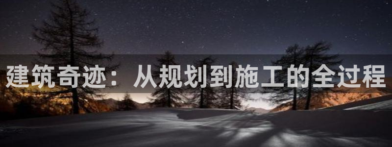 安信可12f代码：建筑奇迹：从规划到施工的全过程