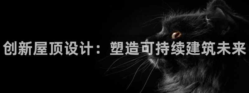 安信12位数资金号：创新屋顶设计：塑造可持续建筑未来