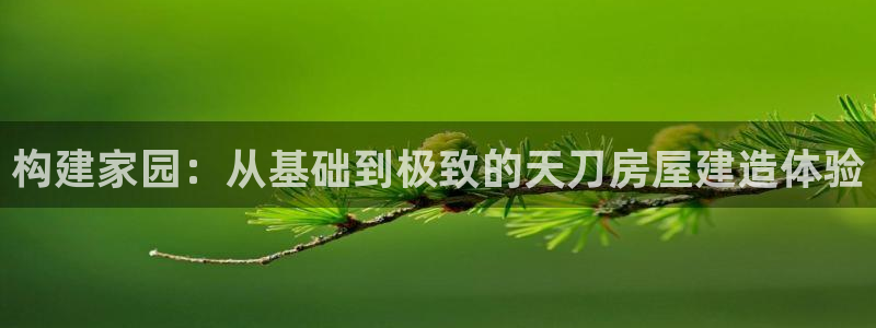 安信12怎么注册：构建家园：从基础到极致的天刀房屋建造体验