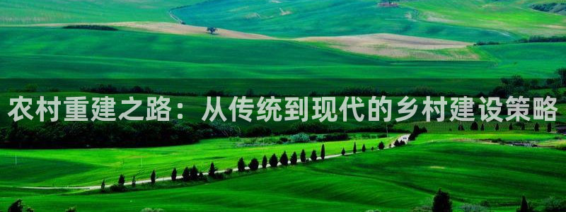 安信12主管：农村重建之路：从传统到现代的乡村建设策略