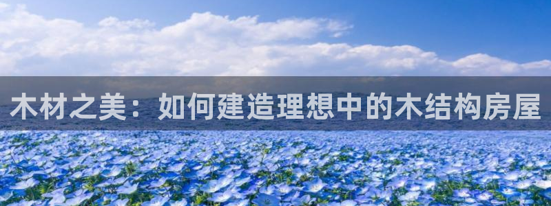 安信12娱乐招商：木材之美：如何建造理想中的木结构房屋