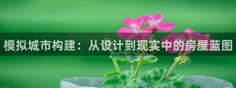 安信12登录：模拟城市构建：从设计到现实中的房屋蓝图