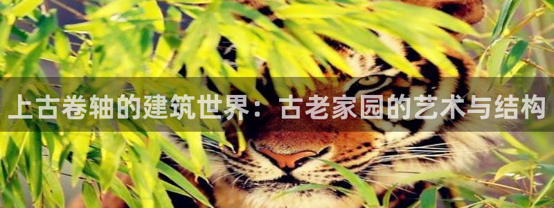 安信12开户：上古卷轴的建筑世界：古老家园的艺术与结构