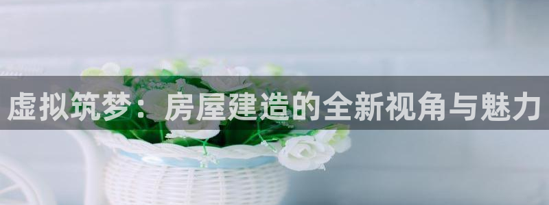 安信锐赢134号12月：虚拟筑梦：房屋建造的全新视角与魅力