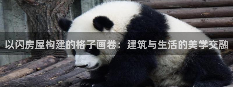 安信12级粉丝团福利：以闪房屋构建的格子画卷：建筑与生活的美学交融